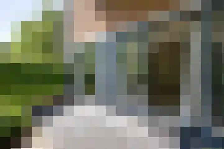 Zandsteen 7 Hoorn thumbnail 29