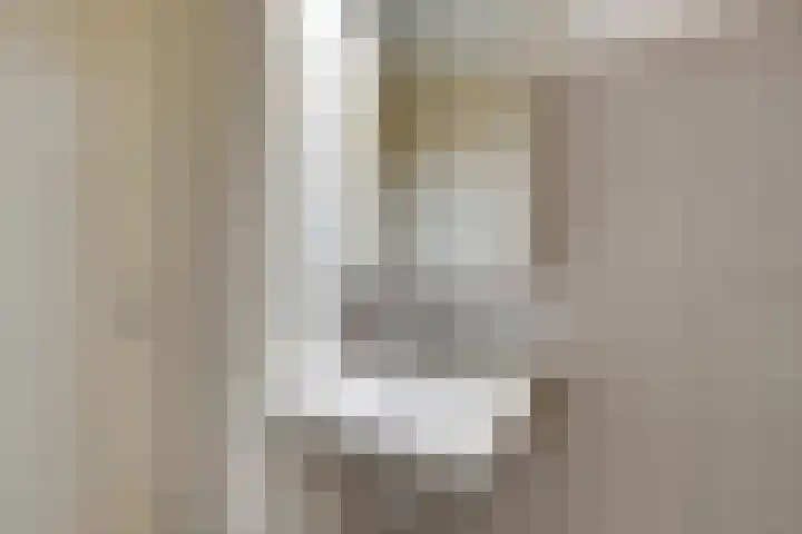 Zandsteen 7 Hoorn thumbnail 33