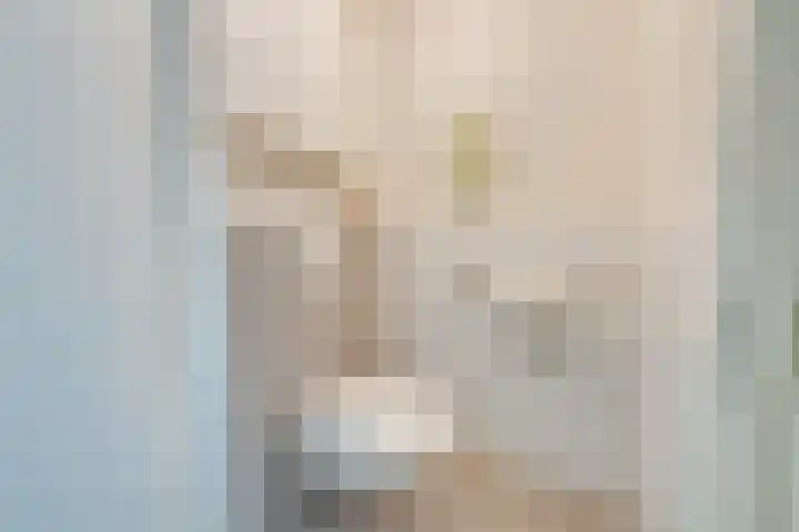 Zandsteen 7 Hoorn thumbnail 34