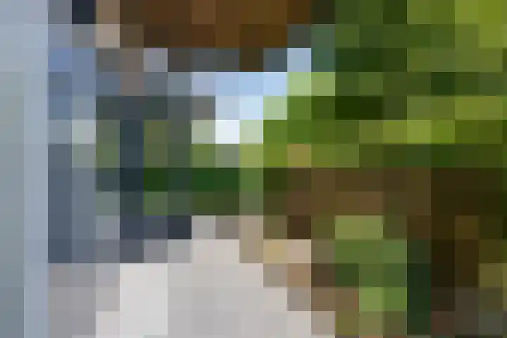 Zandsteen 7 Hoorn thumbnail 4