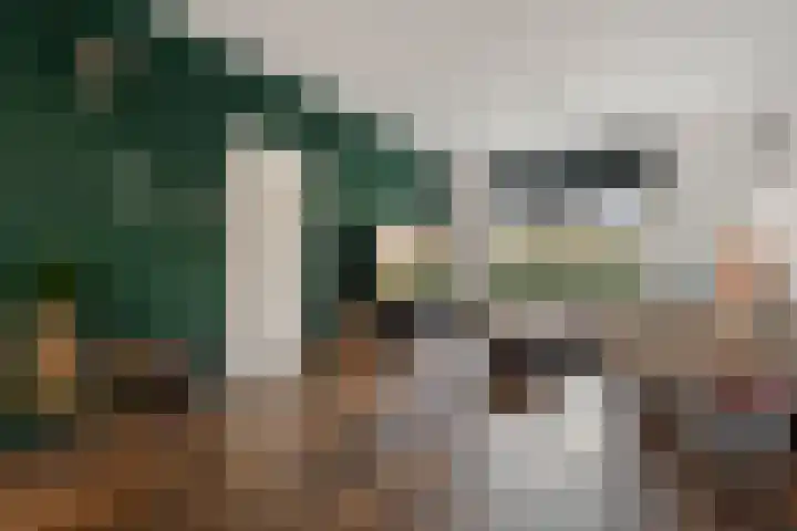 Zandsteenlaan 125 Groningen thumbnail 17