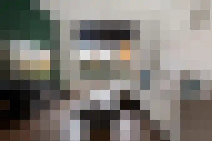 Zandsteenlaan 125 Groningen thumbnail 18