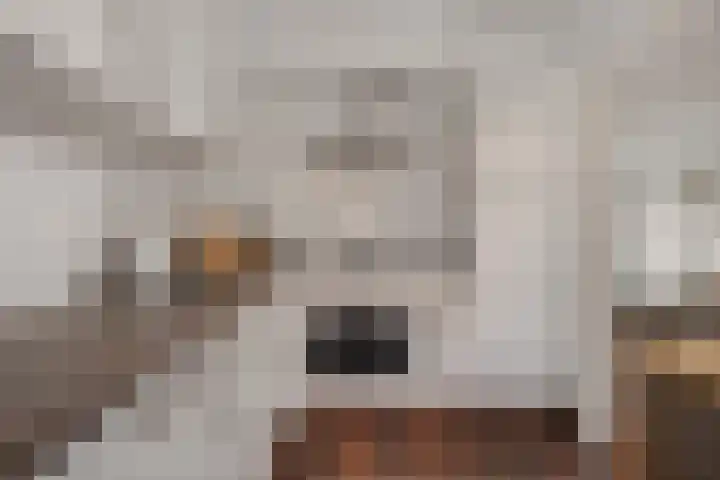 Zandsteenlaan 125 Groningen thumbnail 23