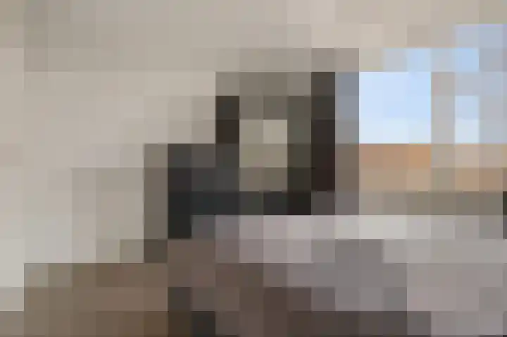 Zandsteenlaan 125 Groningen thumbnail 28