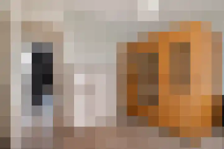 Zandsteenlaan 125 Groningen thumbnail 31