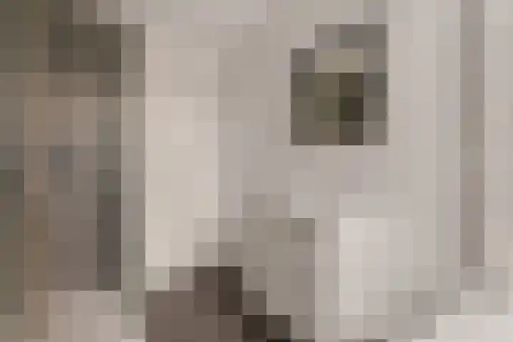 Zandsteenlaan 125 Groningen thumbnail 34