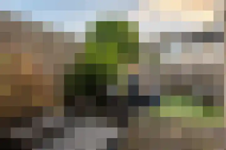 Zandsteenlaan 125 Groningen thumbnail 36