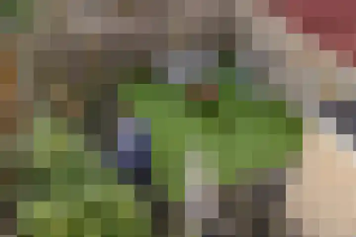 Zandsteenlaan 125 Groningen thumbnail 42