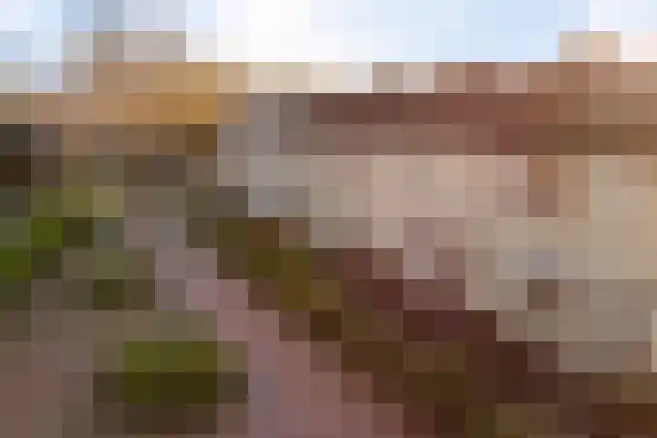 Zandsteenlaan 125 Groningen thumbnail 47