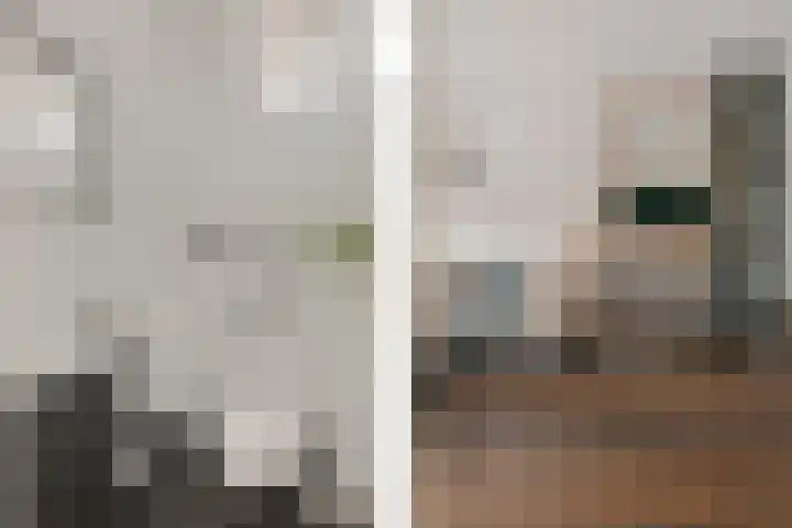 Zandsteenlaan 125 Groningen thumbnail 6