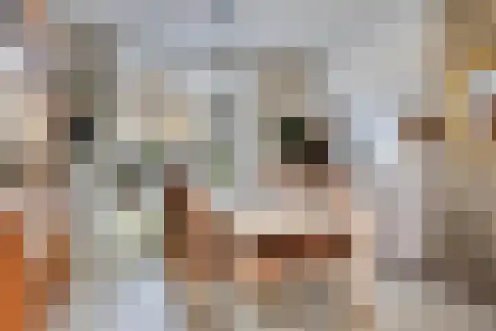 Zandsteenlaan 135 Groningen thumbnail 11