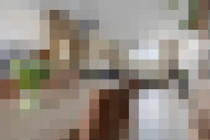 Zandsteenlaan 135 Groningen thumbnail 12