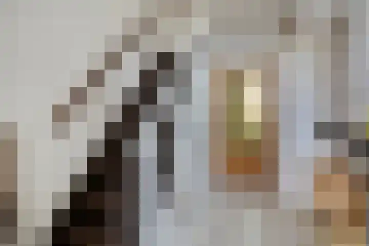 Zandsteenlaan 135 Groningen thumbnail 16