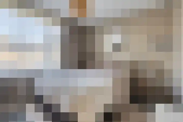 Zandsteenlaan 135 Groningen thumbnail 18