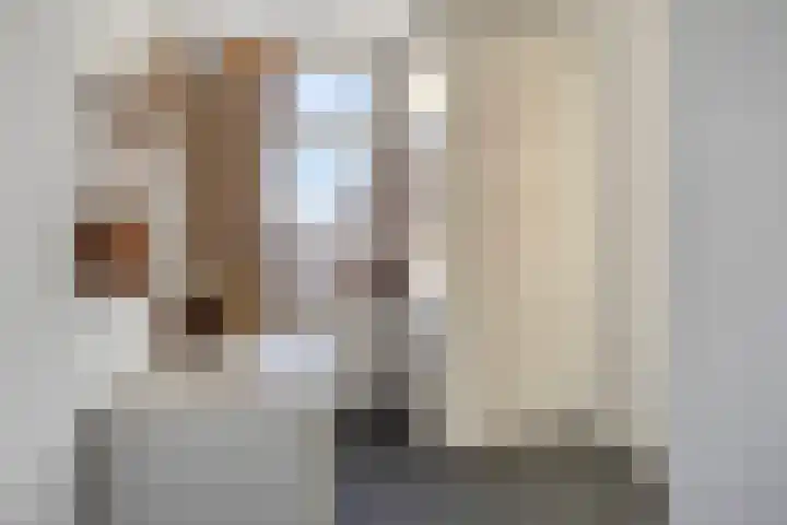 Zandsteenlaan 135 Groningen thumbnail 22