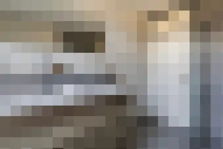 Zandsteenlaan 135 Groningen thumbnail 23