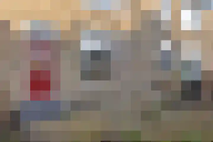 Zandsteenlaan 135 Groningen thumbnail 6