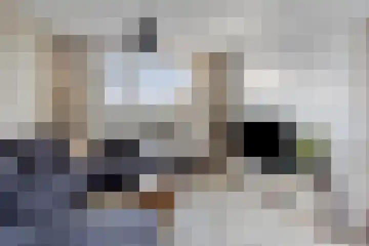 Zandsteenlaan 135 Groningen thumbnail 9