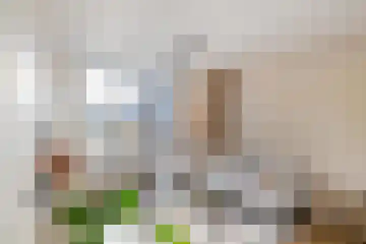 Zandsteenlaan 147 Groningen thumbnail 10