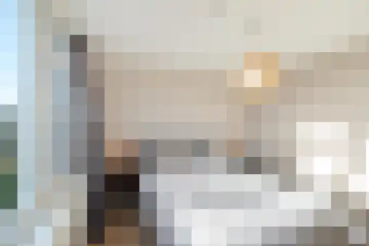 Zandsteenlaan 147 Groningen thumbnail 26
