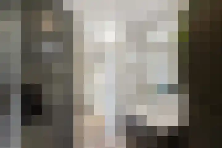 Zandsteenlaan 147 Groningen thumbnail 32