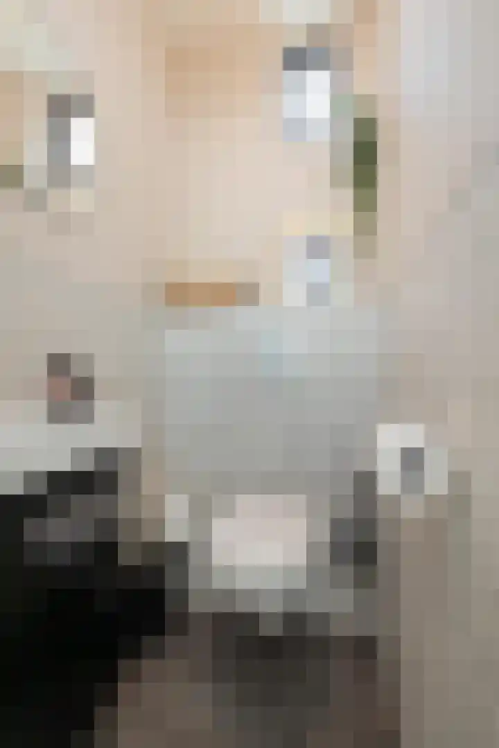 Zandsteenlaan 147 Groningen thumbnail 8