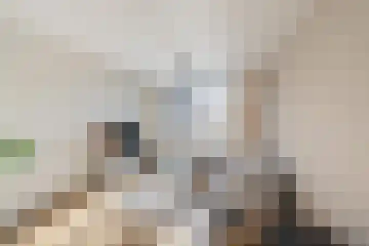 Zandsteenlaan 147 Groningen thumbnail 9