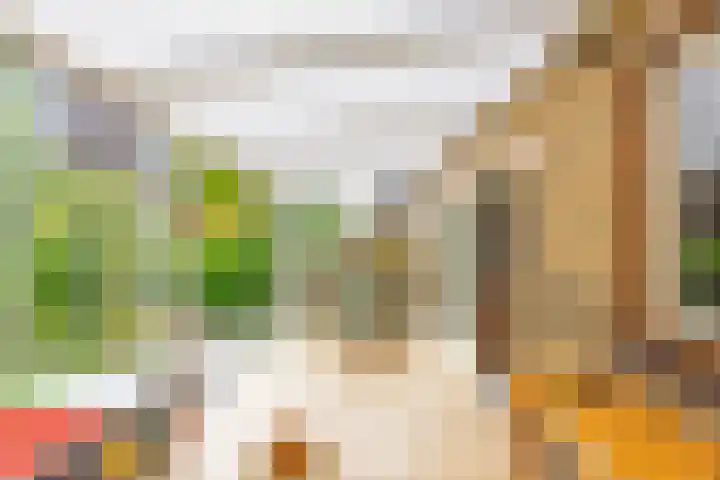 Zandsteenlaan 2 Groningen thumbnail 19