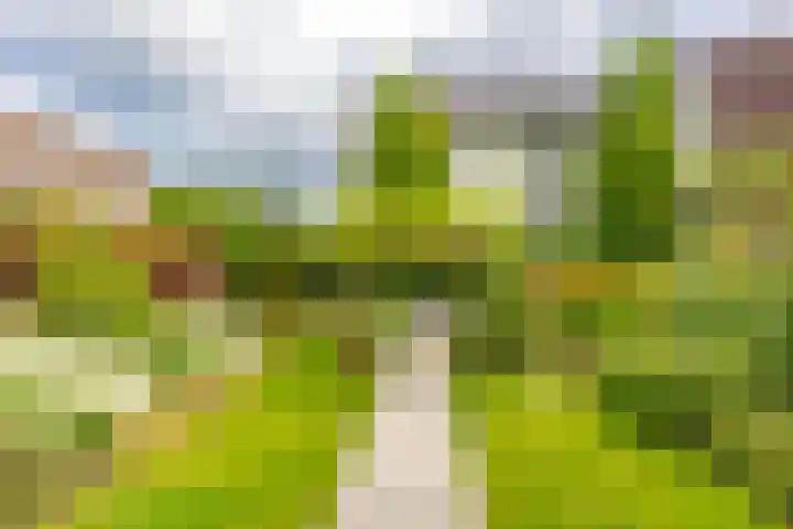 Zandsteenlaan 2 Groningen thumbnail 21