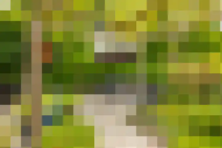 Zandsteenlaan 2 Groningen thumbnail 22