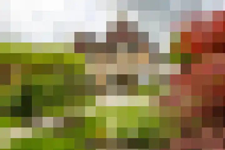 Zandsteenlaan 2 Groningen thumbnail 24