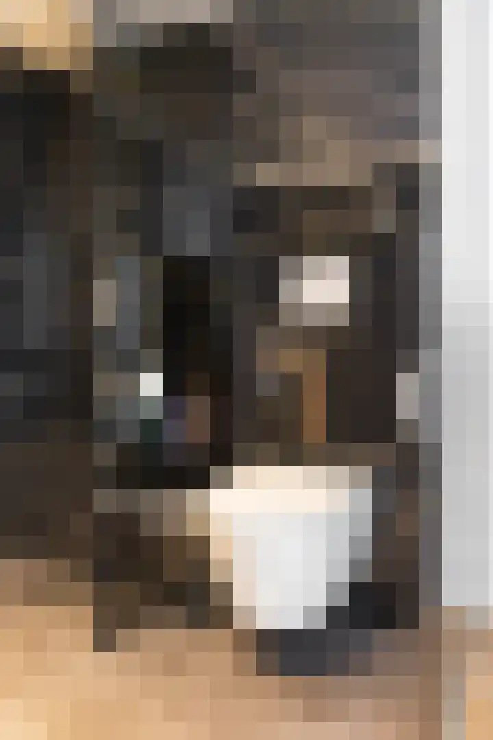 Zandsteenlaan 2 Groningen thumbnail 30