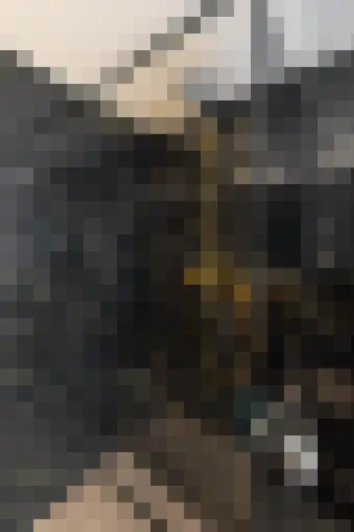 Zandsteenlaan 2 Groningen thumbnail 31