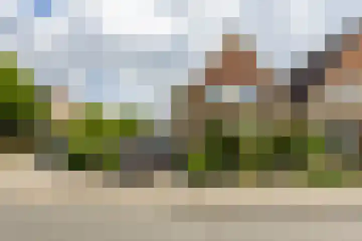Zandsteenlaan 2 Groningen thumbnail 7