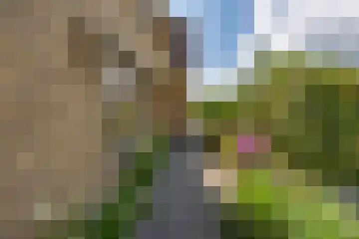 Zandsteenlaan 2 Groningen thumbnail 8