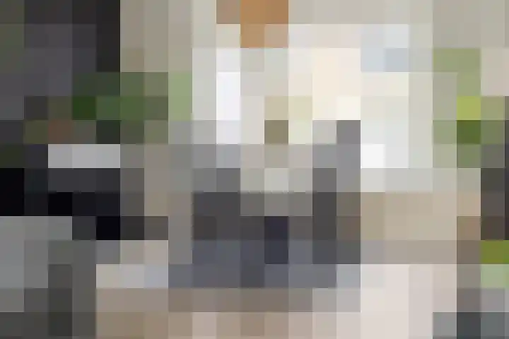 Zandsteenlaan 87 Groningen thumbnail 11