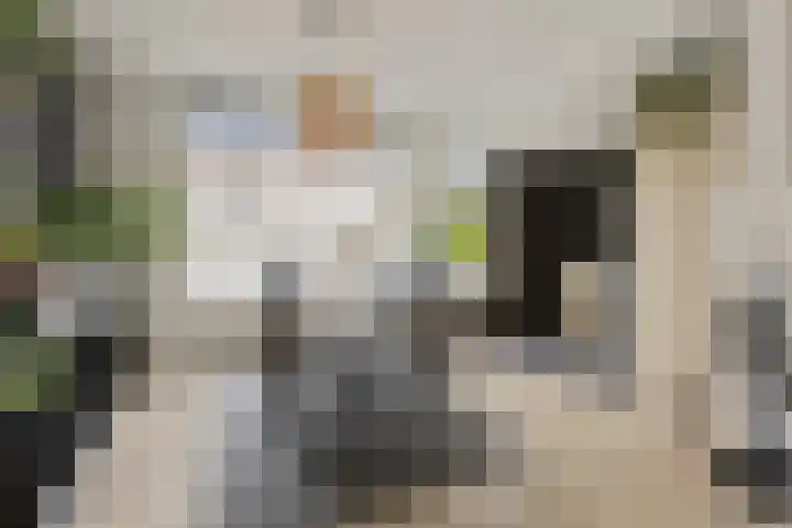 Zandsteenlaan 87 Groningen thumbnail 13