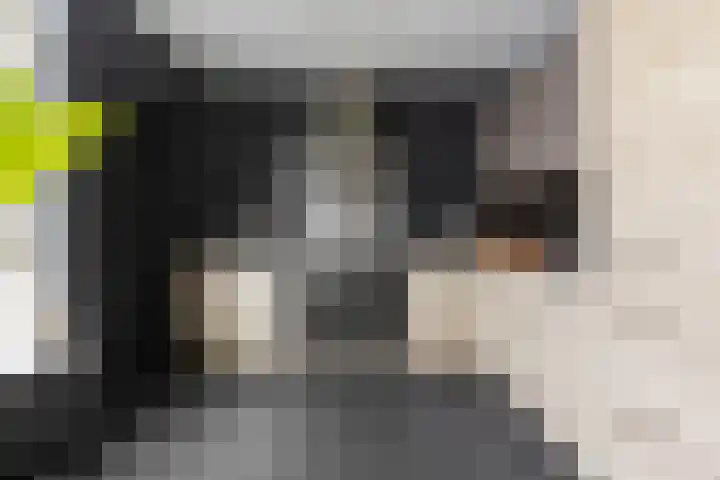 Zandsteenlaan 87 Groningen thumbnail 15