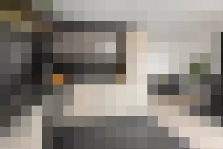 Zandsteenlaan 87 Groningen thumbnail 16