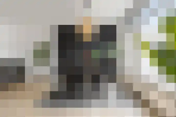 Zandsteenlaan 87 Groningen thumbnail 17