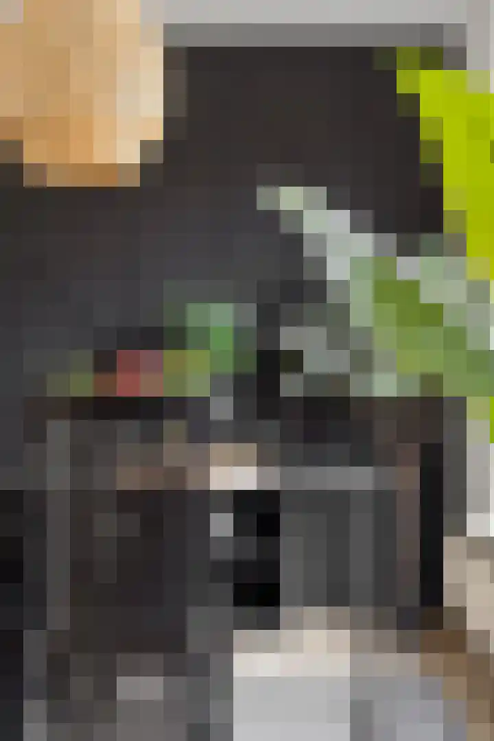 Zandsteenlaan 87 Groningen thumbnail 18