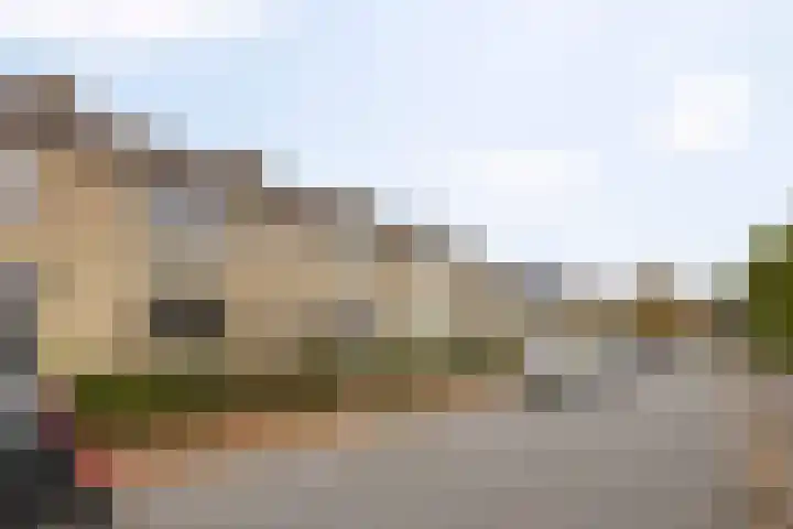 Zandsteenlaan 87 Groningen thumbnail 34