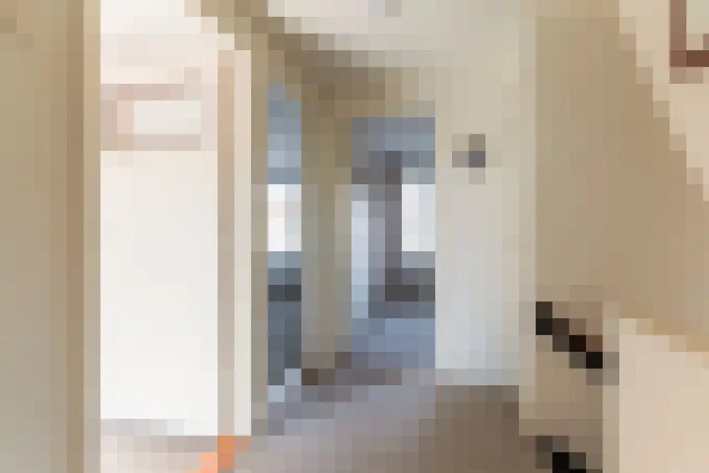 Zandsteenstraat 62 't Harde thumbnail 13