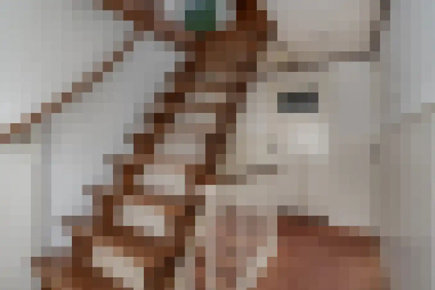 Zandstraat 1 Berlicum thumbnail 21