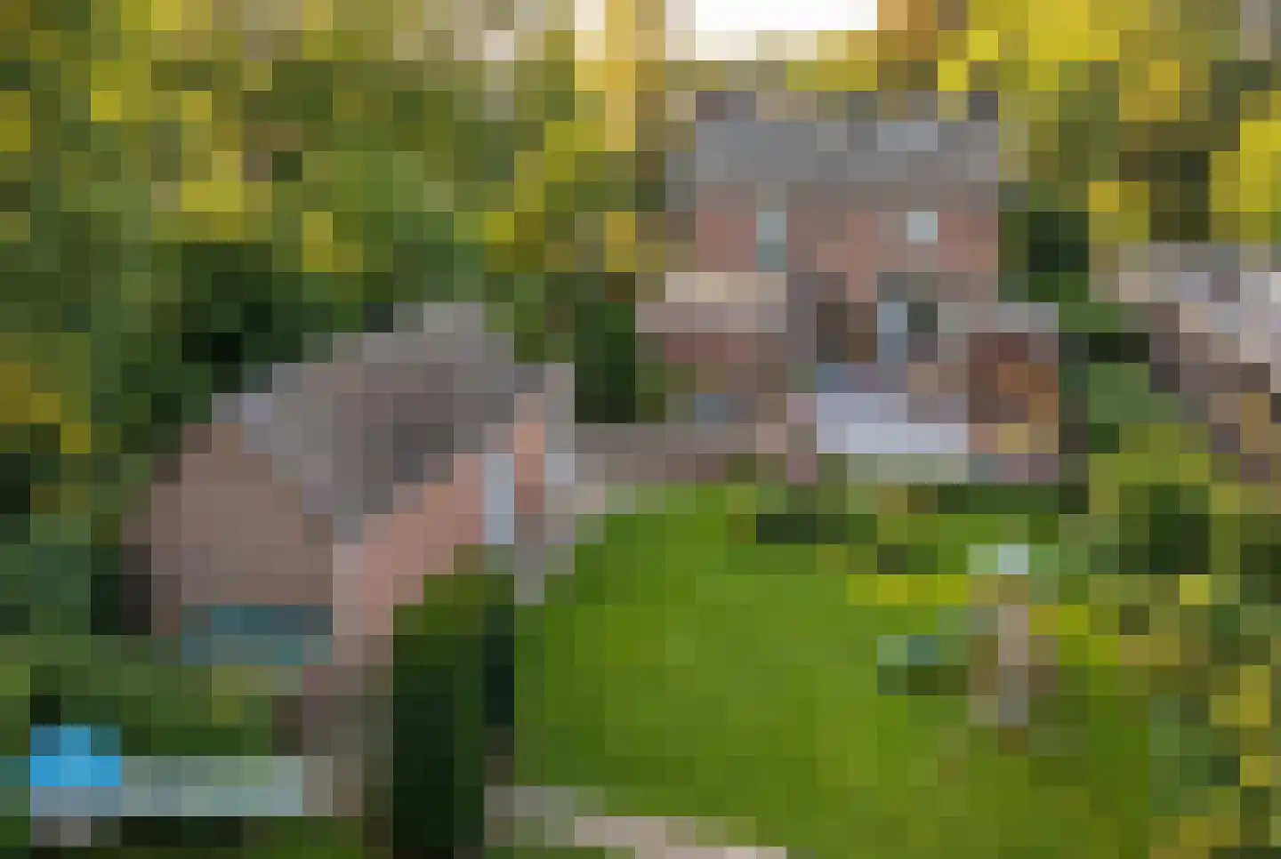 Zandstraat 1 Berlicum thumbnail 22