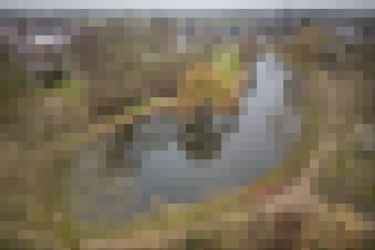 Zandstraat 1 Berlicum thumbnail 25