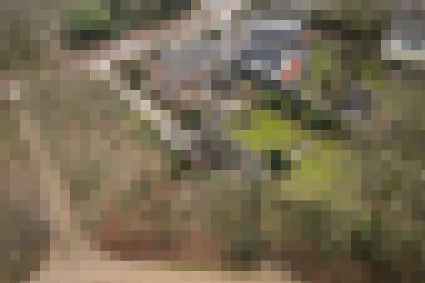 Zandstraat 1 Berlicum thumbnail 26