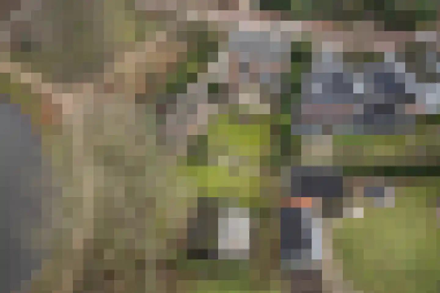 Zandstraat 1 Berlicum thumbnail 27