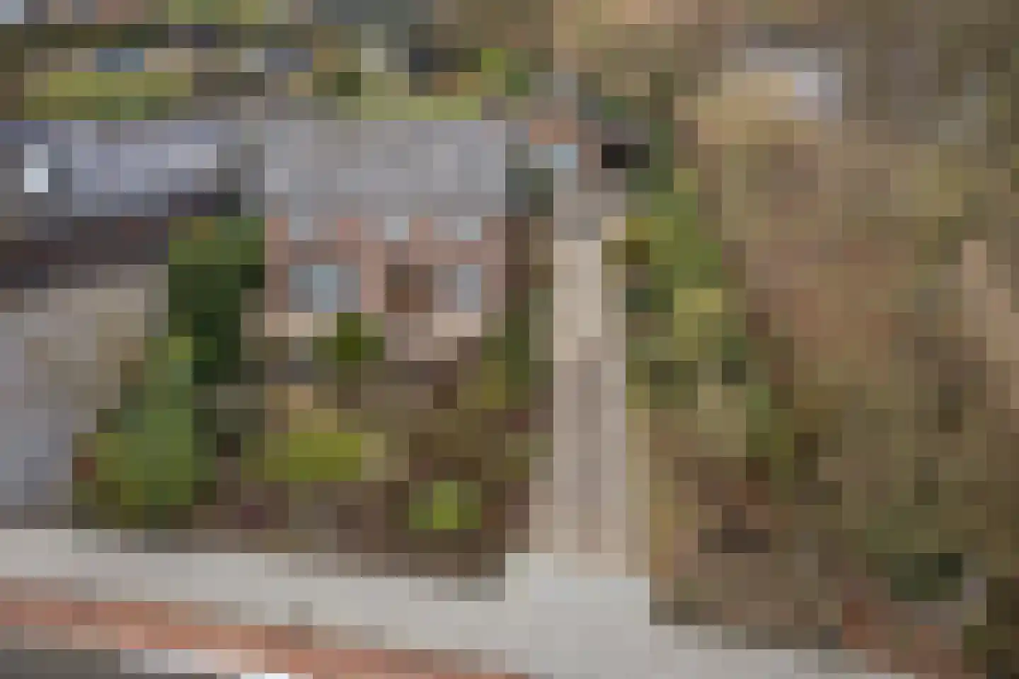 Zandstraat 1 Berlicum thumbnail 28