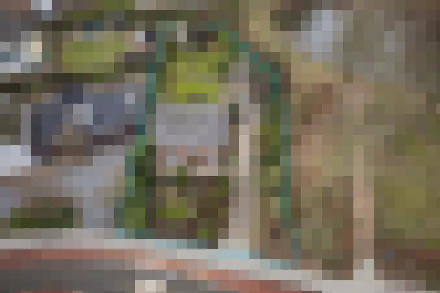 Zandstraat 1 Berlicum thumbnail 29